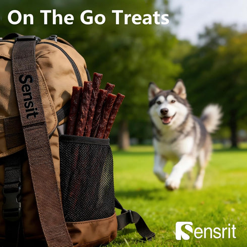 Sensrit 10 oz Dog Beef Sticks - Jerky Treats for All Dogs - High Protein & Grain Free Dog Snacks - Made with Real Beef