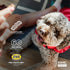 GNC for Pets Essentials Calming Soft Chew Dog Supplements | 60 Ct Bacon Flavor Chews for Calming and Relaxation