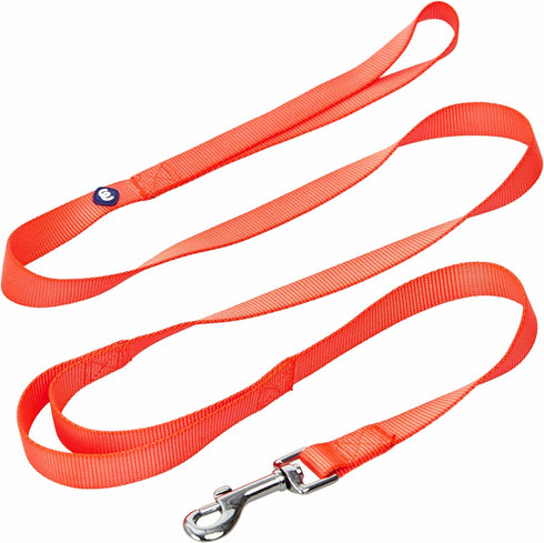 Blueberry Pet Essentials Double Handle Dog Leash for Traffic Control, 5ft.x3/8" X-Small Dog Leash (Florence Orange)