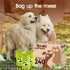 240 Counts 100% Pet N Pet Poop Bags For Dogs, Plant Based Dog Poop Bags Rolls, Thick Doggie Poo Bag, Leak-proof, Easy