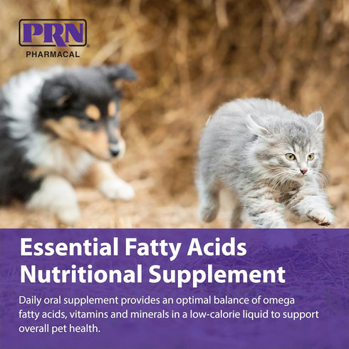 PRN Pharmacal OPTIMA 365 - Essential Fatty Acids Nutritional Supplement for Cats & Dogs - 16 Fl Oz