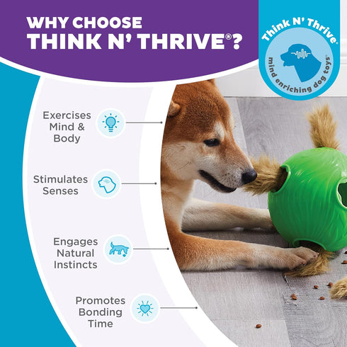 2 Outward Hound by Nina Ottosson Dog Snuffle N' Treat Ball Puzzle, Level Intermediate, Green, Large