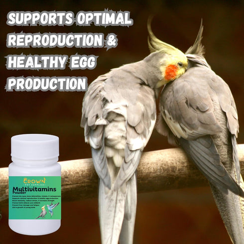 Crown Pet Supplies 50g Multivitamin Powder for Birds Ultimate Vitamin Formula for Racing & Breeding Supports Growth