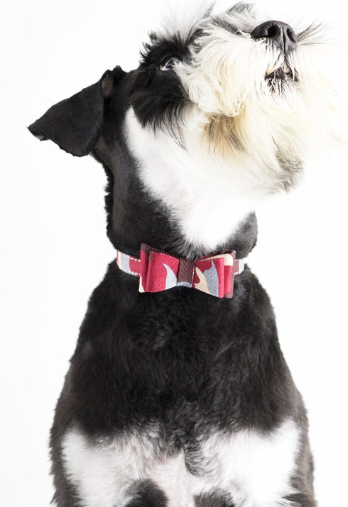 Small Dog Collar Puppy Cat Tiny Pet Bow Tie & Bandana Set, 2pcs PU Leather Canvas Scarf, Durable Camo-Red