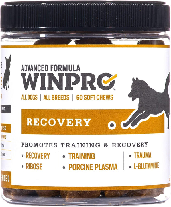 WINPRO Recovery Chews for Dogs | Plasma-Powered for Active Dogs | Immune System Support | 60 Count, Made in USA