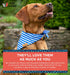 Dog Bandanas, Pet Bandanas for Dogs - Puppy Bandana, Reversible Scarf, Soft & Breathable, Dog Scarf for Medium & Large Dogs