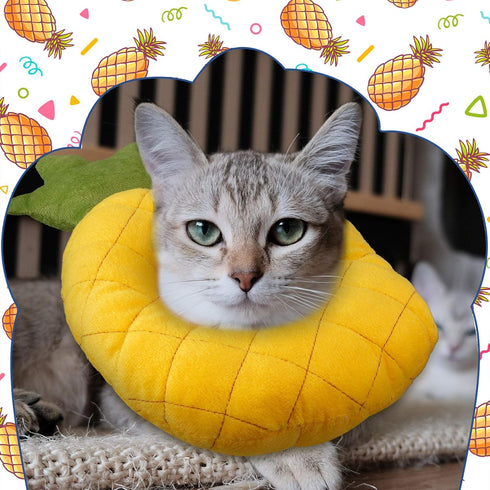 Weewooday 4 Pcs Adjustable Cat Cone Collar, Soft Recovery Collar for Kittens After Surgery, Anti Bite Lick