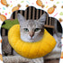 Weewooday 4 Pcs Adjustable Cat Cone Collar, Soft Recovery Collar for Kittens After Surgery, Anti Bite Lick