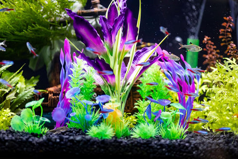 Fish Tank Decorations Aquarium Plants Plastic Artificial Plant Set Medium/Large Flower Ornament Beta Goldfish Decoration Ornaments Freshwater & Saltwater Décor Tree 11 Pieces by UNEAK