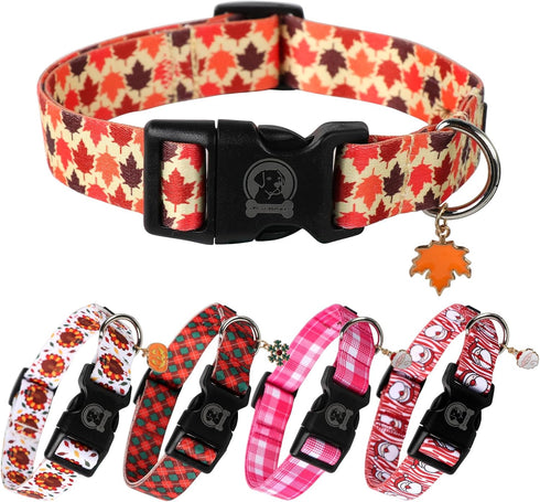 Adjustable MR. CHUBBYFACE Fall Dog Collar with Maple Leaves Design for Small Medium Large Dogs