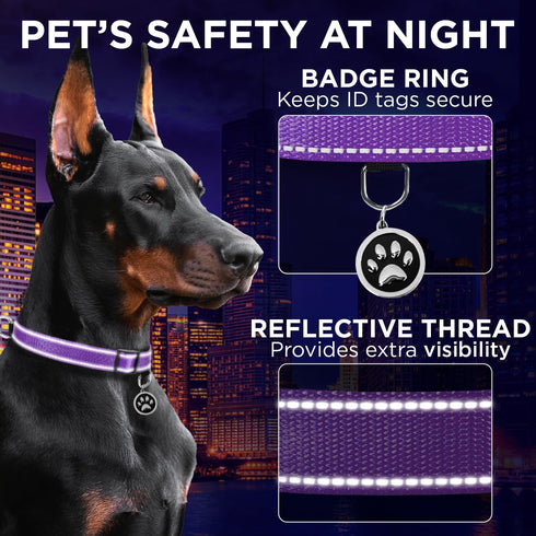 TECEUM Reflective Purple Pet Collar, L, Extra Soft Padding, Basic Nylon Dog Collar with Quick Release Buckle