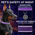 TECEUM Reflective Purple Pet Collar, L, Extra Soft Padding, Basic Nylon Dog Collar with Quick Release Buckle