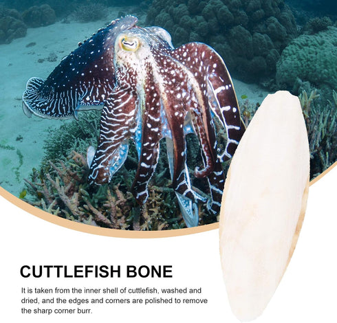12pcs Bird Cuttlebone Chew Toy, Cuttlefish Bones for Parrot Cage Toys, 10cm Bird Bite Toy