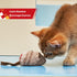 Gigwi Chirpy Cat Squeak Toy, Interactive Mouse Cat Toy with Melody Chaser for Kitten Play and Boredom Relief