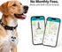 LFNOONE GPS Tracker No Subscription No SIM Card, Real-Time Tracking Mini Waterproof Device for Car, Pet, Dog, Vehicle