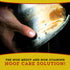 16oz, 1-pack Dr. Naylor Hoof 'N Heal, Hoof Rot Foot Rot Wound Care, Sheep Goat Cow Horse