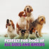 100% 10-Pack Beef Trachea for Dogs with Natural Glucosamine, Large Trachea Dog Chews for Joint Health with Chondroitin