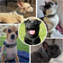 Spiked Dog Cat Collar, Male Black Soft Leather Spike Puppy Collars Adjustable for Small Medium Large Dogs Chihuahua