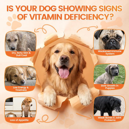 16-in-1 500 Omega-3, Dog Vitamins- Dog Vitamins and Supplements, Ct Multivitamin Supports Daily Energy, Heart Health