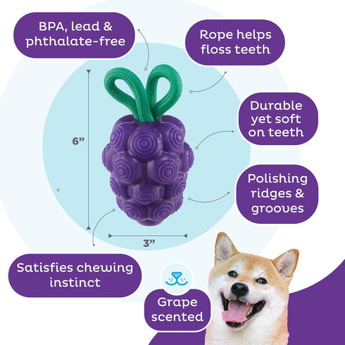 Outward Hound Dental Grapes Dental Chew Toy, Interactive Treat Stuffer, Medium, Purple
