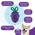 Outward Hound Dental Grapes Dental Chew Toy, Interactive Treat Stuffer, Medium, Purple