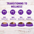 Wellness Complete Health Natural Dry Cat Food with Wholesome Grains, Real Meat (Adult Cat, Chicken & Chicken Meal
