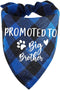 Family Kitchen Promoted to Big Brother Dog Bandana - Blue Plaid Triangle Pet Scarf for Gender Reveal