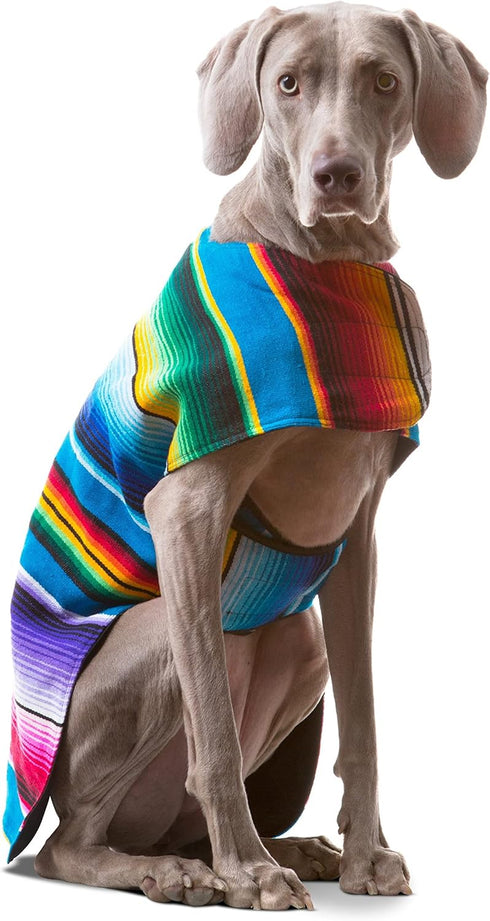 Handmade Dog Poncho from Authentic Mexican Blanket by Baja Ponchos - Blue, Large