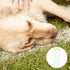 Weewooday 50 Disposable Artificial Insemination Rods for Dog Goat Sheep Breeding (Blue, 8 Inches)