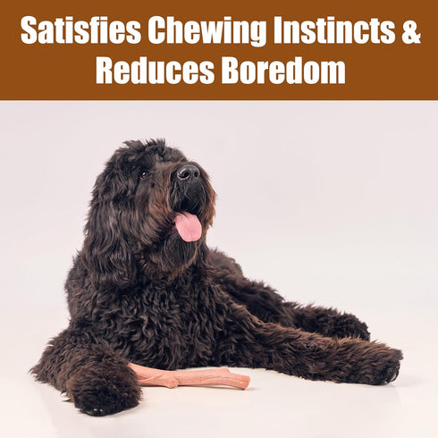 SPOT Bam-Bones Plus Durable Dog Chew Toy for Aggressive Chewers, 9.5in, Beef Flavor, Bamboo Fiber & Nylon