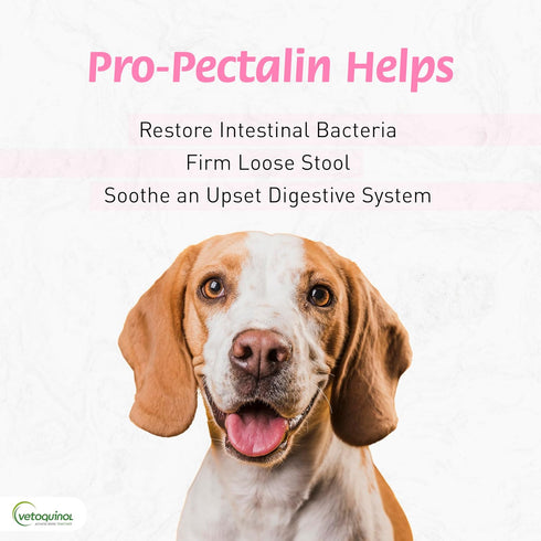 ProPectalin Vetoquinol Pro-Pectalin Oral Paste for Dogs & Cats Chicken Flavor Helps Reduce Occasional Loose Stool
