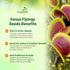 10 Outsidepride Venus Flytrap Seeds - Pcs Perennial, Unique & Carnivorous, Indoor Plant Seeds for House Plants, Easy