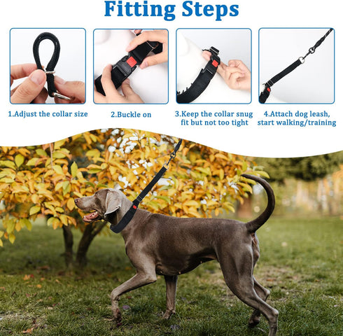 Mayerzon Martingale Collar for Dogs, No Pull Walking Collar for Small Medium Large Dogs, Anti Pull Training Collars