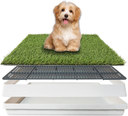 TURF XPRESS Dog Grass Pad with Tray 18.5x23in, Dog Litter Box for Puppy Potty