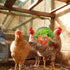 Vehomy 2PCS Chicken Treat Ball Chicken Vegetable Feeder Veggie Hanging Ball Toy for Hens