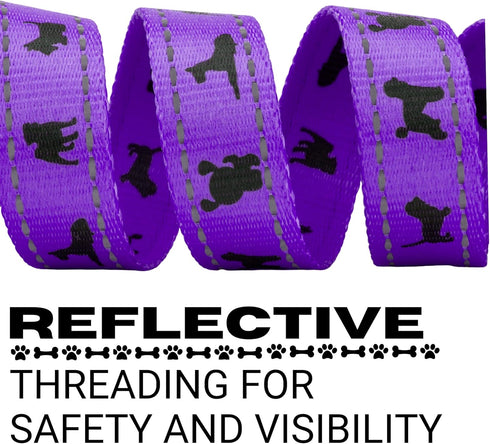 EcoBark Reflective Dog Leash, 4 FT / 5 FT / 6 FT, Eco-Bright with Padded Handle for Small and Medium Dogs (Purple)