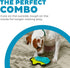 7" Outward Hound Durablez Minis Squeaky Plush Dog Toy, No Stuffing for Less Mess, Interactive & Tough, Jumbo Squeaker