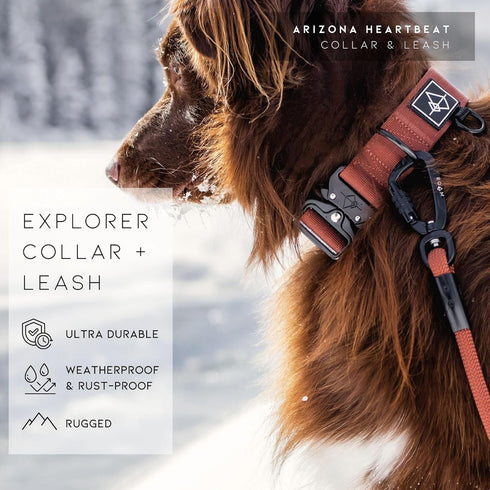 Made to ROAM Premium Dog Collar, Adjustable Heavy Duty Nylon Collar with Quick-Release Metal Buckle