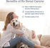 Rx Vitamins Rx Renal Canine Kidney Support for Dogs - Milk Thistle Extract, Green Tea, & Cordyceps Capsules, 120 ct