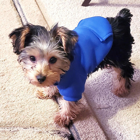 Jecikelon Winter Dog Hoodie Sweatshirts with Pockets, Warm Clothes for Small Dogs, Chihuahua Coat (Dark Blue, Medium)