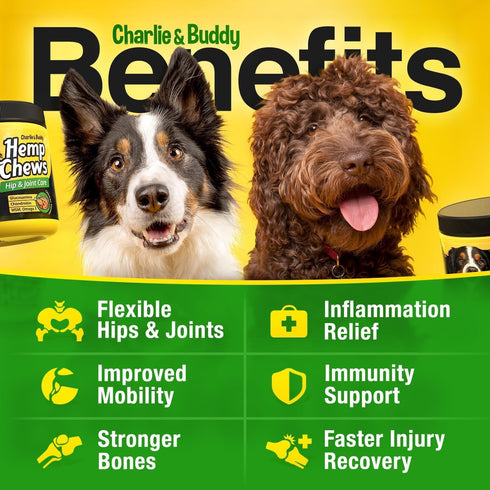 3 120 Glucosamine for Dogs - Hmp Calming Chews with Glucosamine & Chondroitin - Daily Support with MSM, Omega