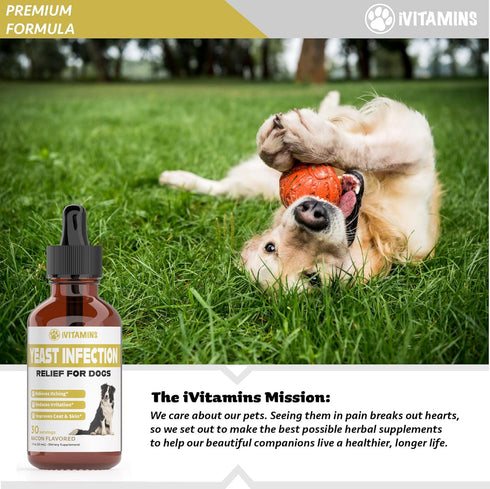 Natural Yeast Infection Treatment for Dogs | Supports Itch Relief & Inflammation Relief | 1 fl oz