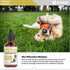 Natural Yeast Infection Treatment for Dogs | Supports Itch Relief & Inflammation Relief | 1 fl oz