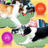 Lenwen 24 Pcs 3.5 Inch Spikey Squeaky Dog Balls - Durable Chew Toys for Medium Large Dogs, Teething Fetch Toys
