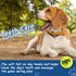 12 Pack 2.5'' INSUM Tennis Balls for Dogs - Durable Non-Toxic Outdoor Dog Toys Balls with Mesh Bag, SGS Certified