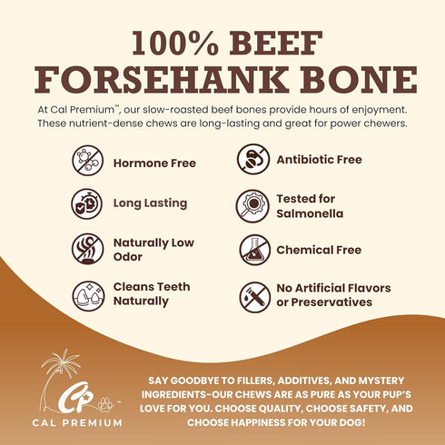 (10-12 inch, 1 Count) 100% Natural Beef Foreshank Bone for Dogs - USA Sourced and Made - Single Ingredient