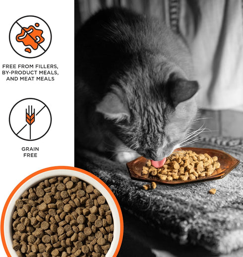 BIXBI Liberty Dry Food Chicken Recipe for Cats, 3 lb