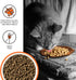 BIXBI Liberty Dry Food Chicken Recipe for Cats, 3 lb