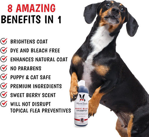 Warren London Magic Black Dog Shampoo, Brightens Darker Coats, Puppy and Cat Safe, Berry Scent, Made in USA, 17oz