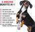 Warren London Magic Black Dog Shampoo, Brightens Darker Coats, Puppy and Cat Safe, Berry Scent, Made in USA, 17oz